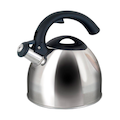 TETERA MR. COFFEE ACERO INOXIDABLE 2Q