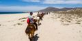 Los Cabos DESDE ($1.410) *BOLETO INCLUIDO*