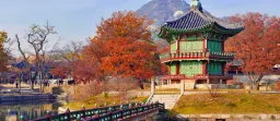 Colores de Corea del Sur DESDE ($6.659) *BOLETO INCLUIDO* 